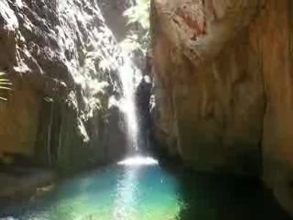 El questro