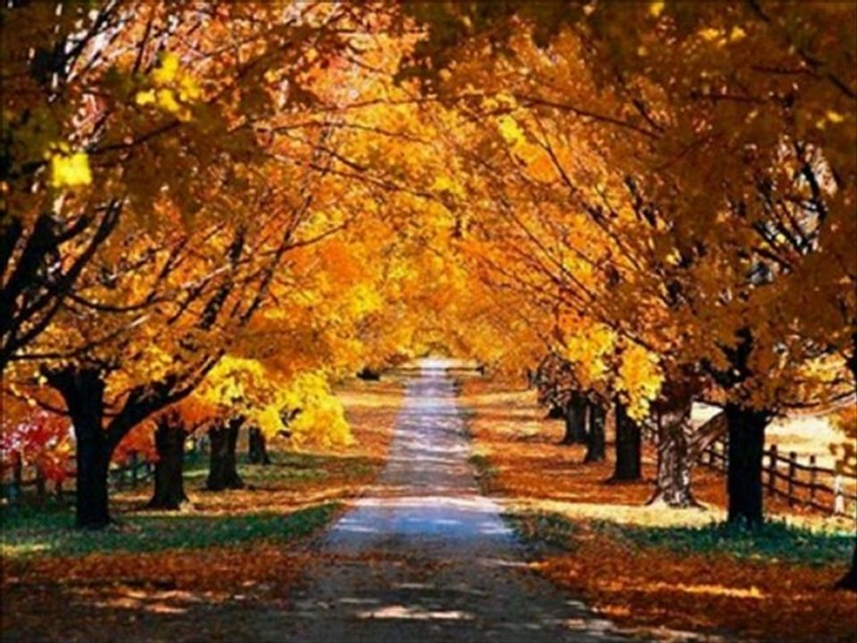 YARDEN AYRI DÜŞELİ