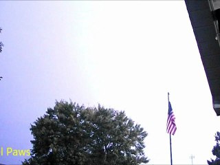 Oct 11 2012 Thunderstorm Action