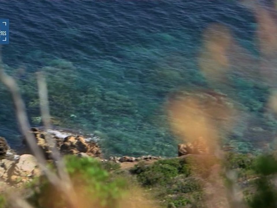 LA TENTATION DE L ILE