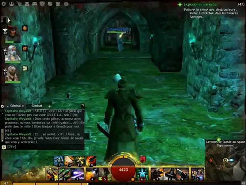 Jumping Puzzle - Arche du lion