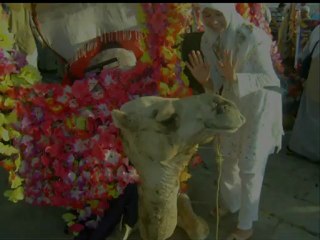 arapca ilahi slayt (AĞA TİCARET) hasan ünal..AKP Belde Başkanı