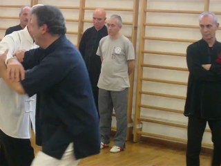 I SEGRETI DELLE ARTI MARZIALI INTERNE CINESI: DAGLI ESERCIZI DI BASE ALLE APPLICAZIONI MARZIALI. CORSI A ROMA DI TAIJI QUAN, NEI GONG,QI GONG, XIN YI CON IL MAESTRO FLAVIO DANIELE LXIII