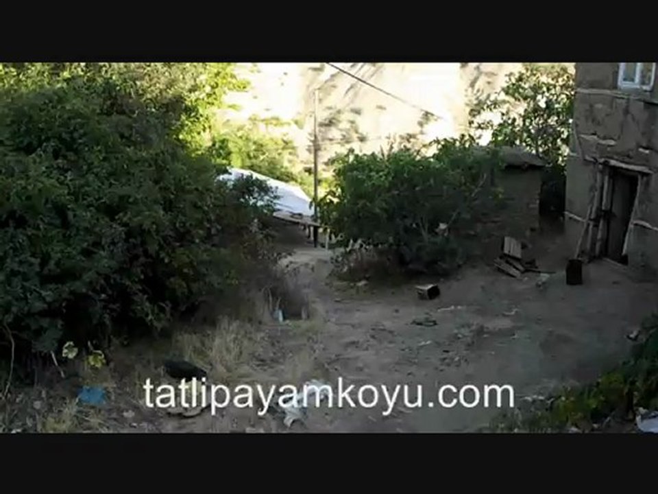 Her yönüyle güzeldir Tatlıpayam köyü