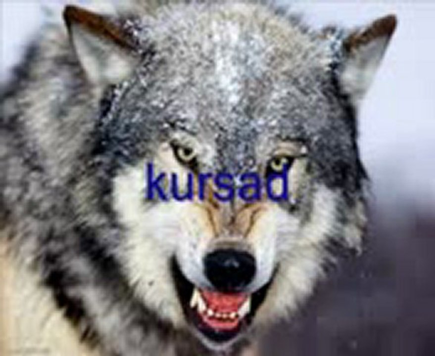 Sesliefehan>>EFE..BACINIDA SİKTİM LANN  GÖTTTTT...SIRADA SEN VARSIN