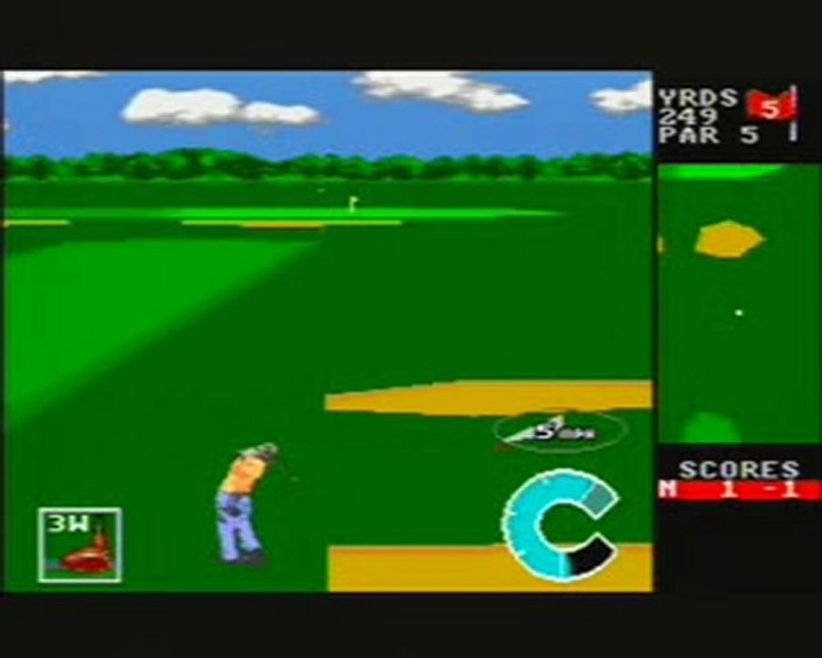 Absolutely marvellous putt