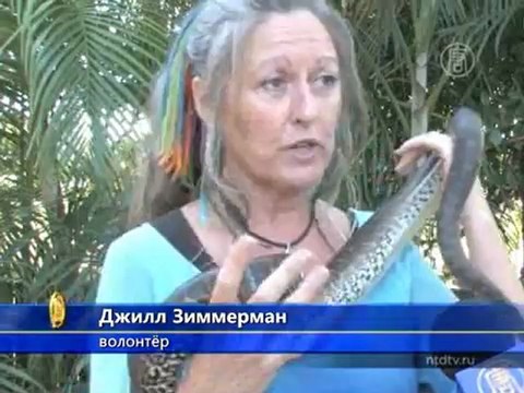 Стоит ли бояться змей?