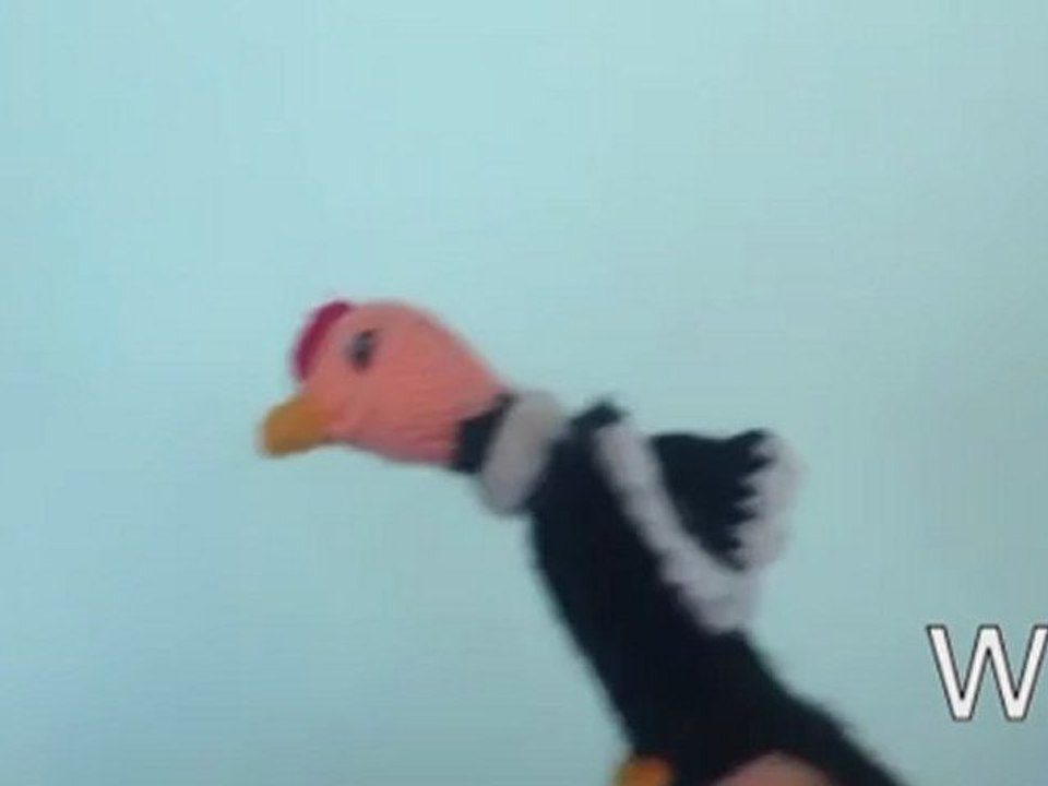 WTF - Nicolas M