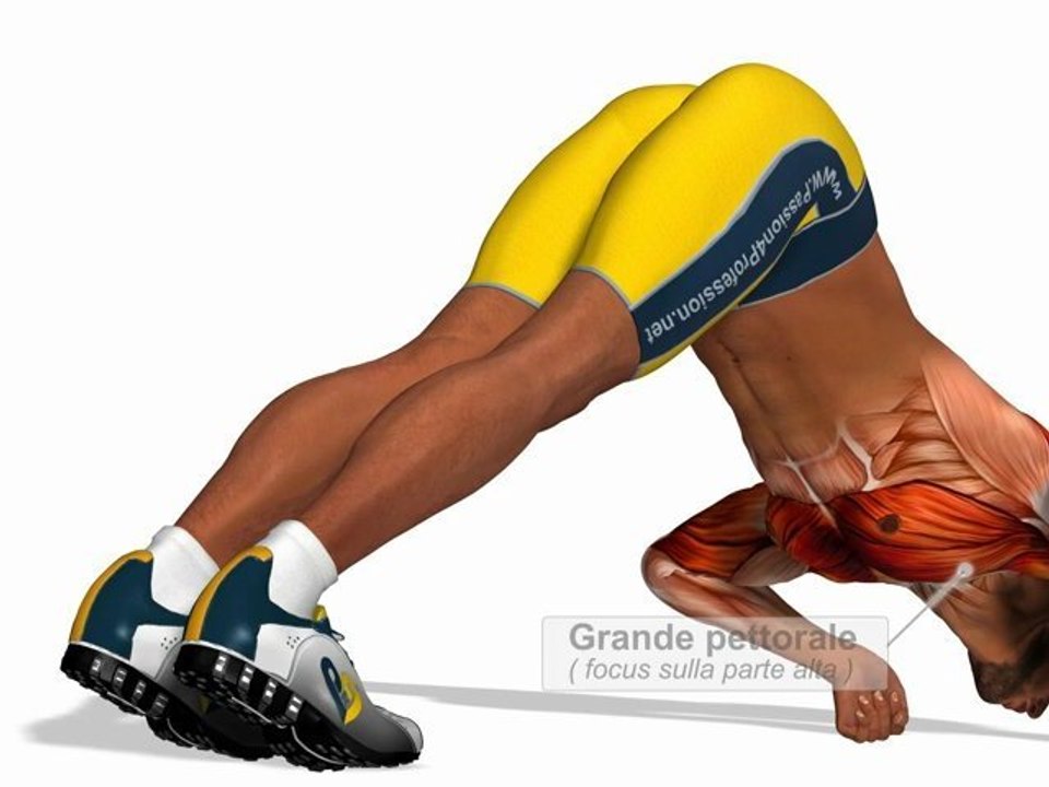 Piegamenti a V ( con pugni chiusi )