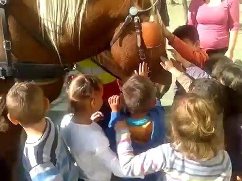 Commerce en Fête - Enfants qui carressent cheval