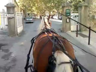 Commerce en Fête - "Retour cheval"