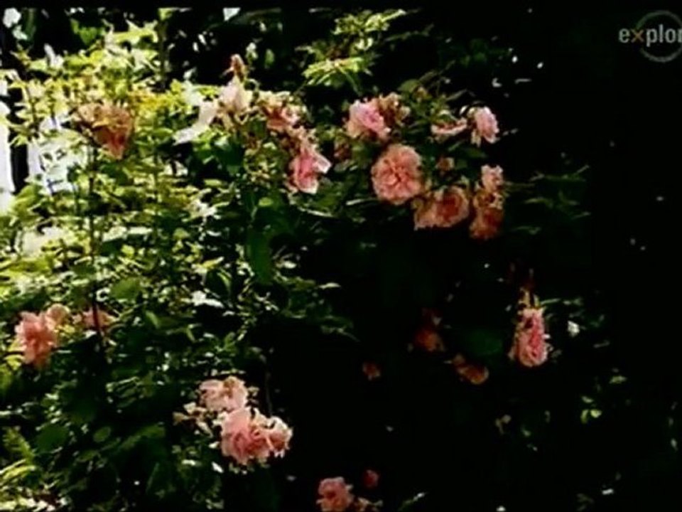 Chelovek.poddelavshii.svou.ghizn