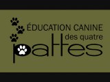 Éducation canine : La socialisation chez le chien