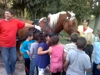 commerce en Fête "Ecole marcel Pagnol"