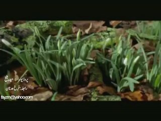 Sura e Al Fatiha (Audio Video format) Urdu, From Tafheem ul Quran by Moulana Moududi