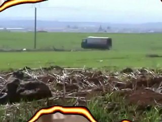 فلم جحيم عصابات الأسد : الجز الأول