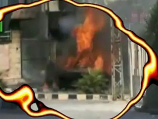 فلم جحيم عصابات الأسد : الجزء الثاني