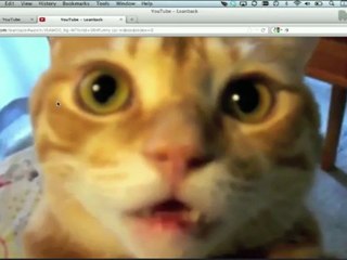 Make YouTube Your Personal Radio Station - Tekzilla Daily Tip