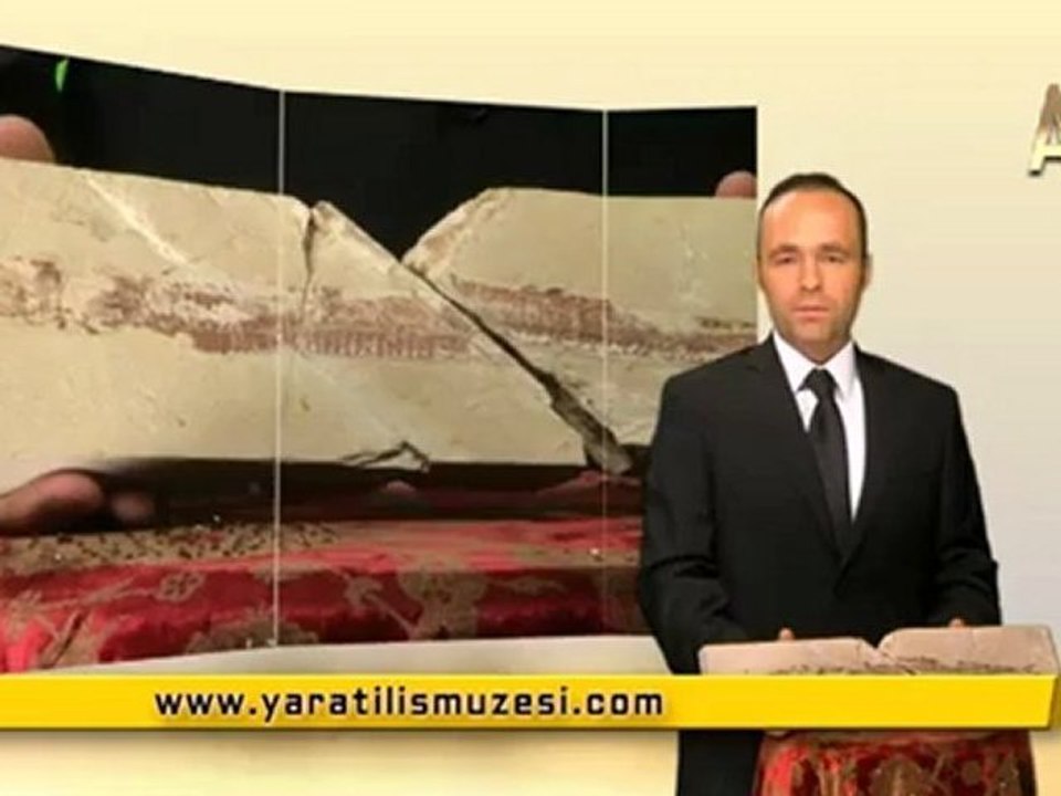 MİLYONLARCA YILDIR DEĞİŞMEYEN ZARGANALAR