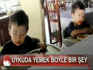 Fox 12 Ek WWWOLAYWEBCOM