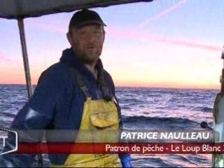 La pêche au bar de ligne (Saint-Gilles-Croix-de-Vie)