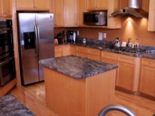 Most Common Ant Infestated Areas