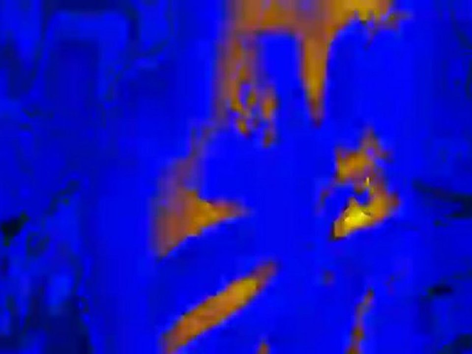 party in the woodza -dirty dutch- n8 pironi