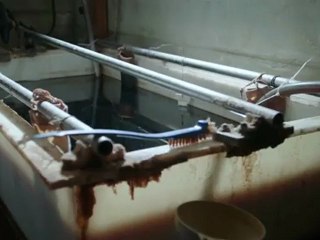 [S2] RIOT fait monter la pression - League of legends