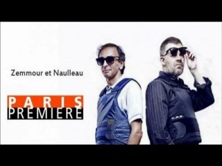 ZEMMOUR ET NAULLEAU Vents de solitudes pour les bienpensants