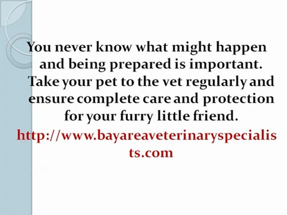 Animal Doctors
