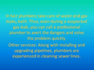 Professional Plumbing Services
