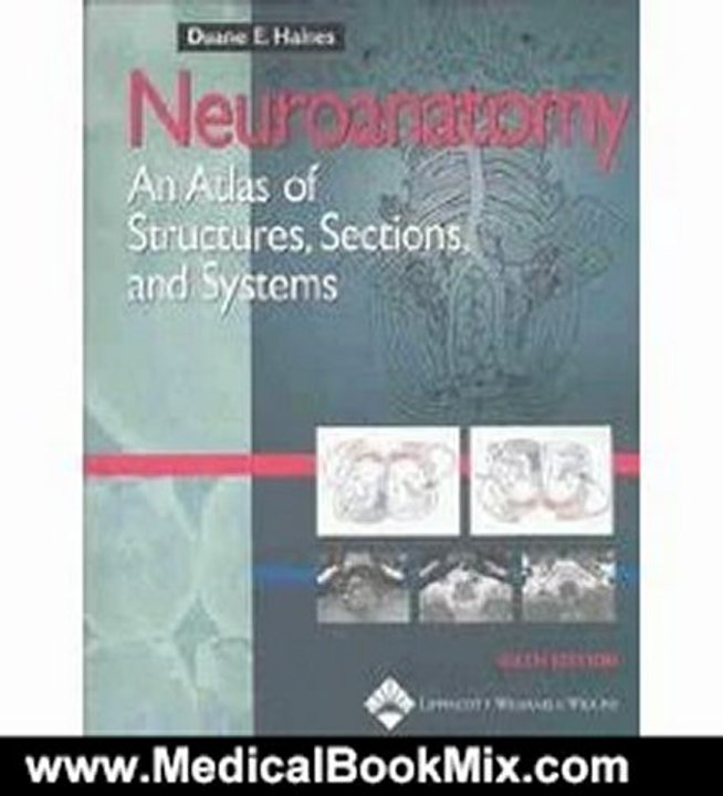 Medical Book Review: Neuroanatomy An Atlas of Structures, Sections, and Systems 6th Edition (Sixth Edition) by Duane E. Haines