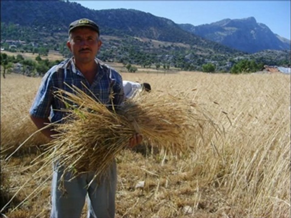 CAN OĞUL