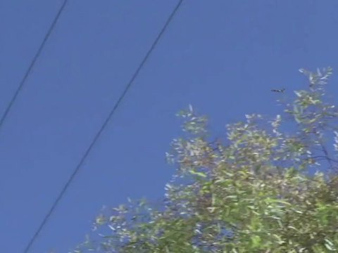 Syrie: poursuite des combats et bombardements près d'Alep