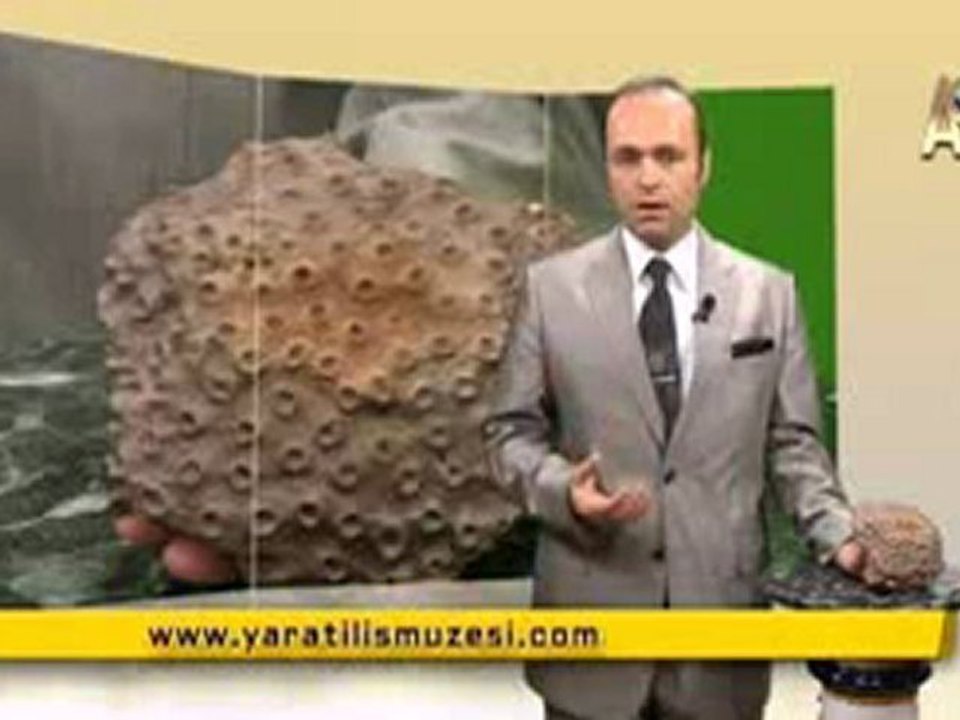 MİLYONLARCA YILDIR DEĞİŞMEYEN GÜNEŞ MERCANLARI