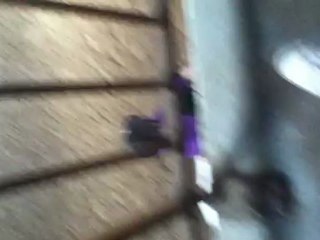 Cours du 7 octobre avec Iago 2