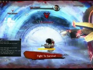Guild Wars 2  Instance on my Guardian