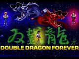 Présentation Double Dragon Forever (PC)