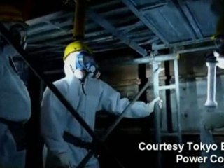 Japanese nuclear meltdown 'preventable'