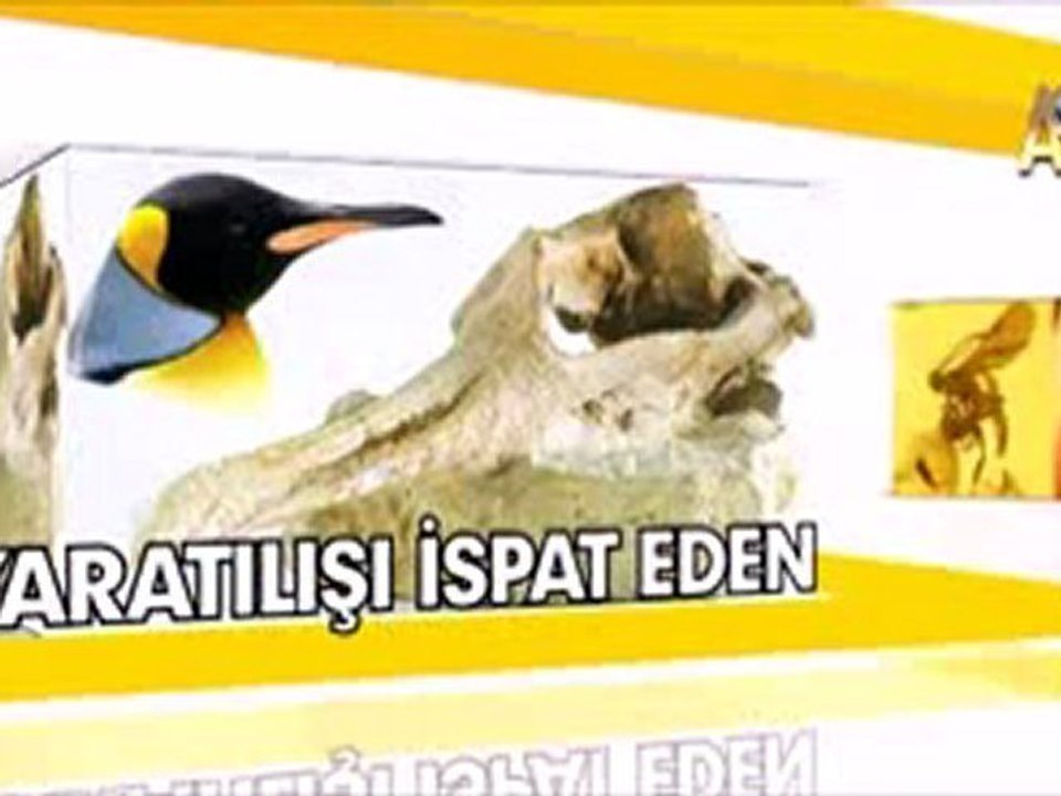 MİLYONLARCA YILDIR DEĞİŞMEYEN AKREPLER