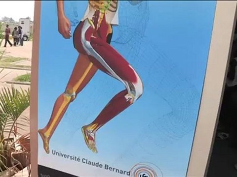 Les ressources éducatives libres des universités françaises