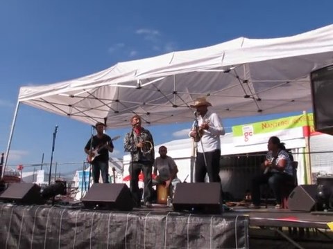 Sincères coïncidences - La puce (Fête de l'Humanité 2012)