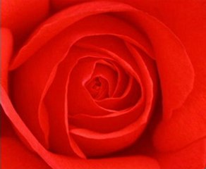 pathero sathi namo go pathey aaj - Sabina Yasmin & Shyamol Mitro.