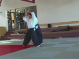 Gyaku-hanmi katate-dori Shiho nage Omote