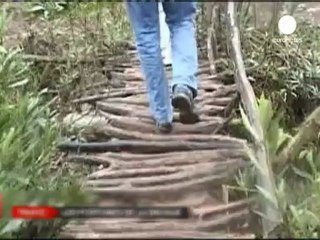 Cannabis marroquí y blanqueo de dinero en Suiza