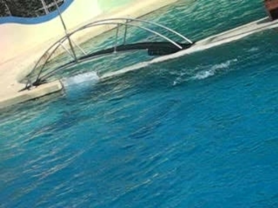 Photo 099