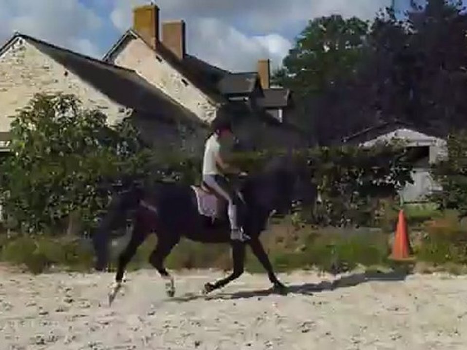 Essai avec Didine - premier saut 15/09/12