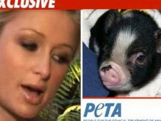 THE BIOGRAPHY OF MISS TOMMY SOTOMAYOR