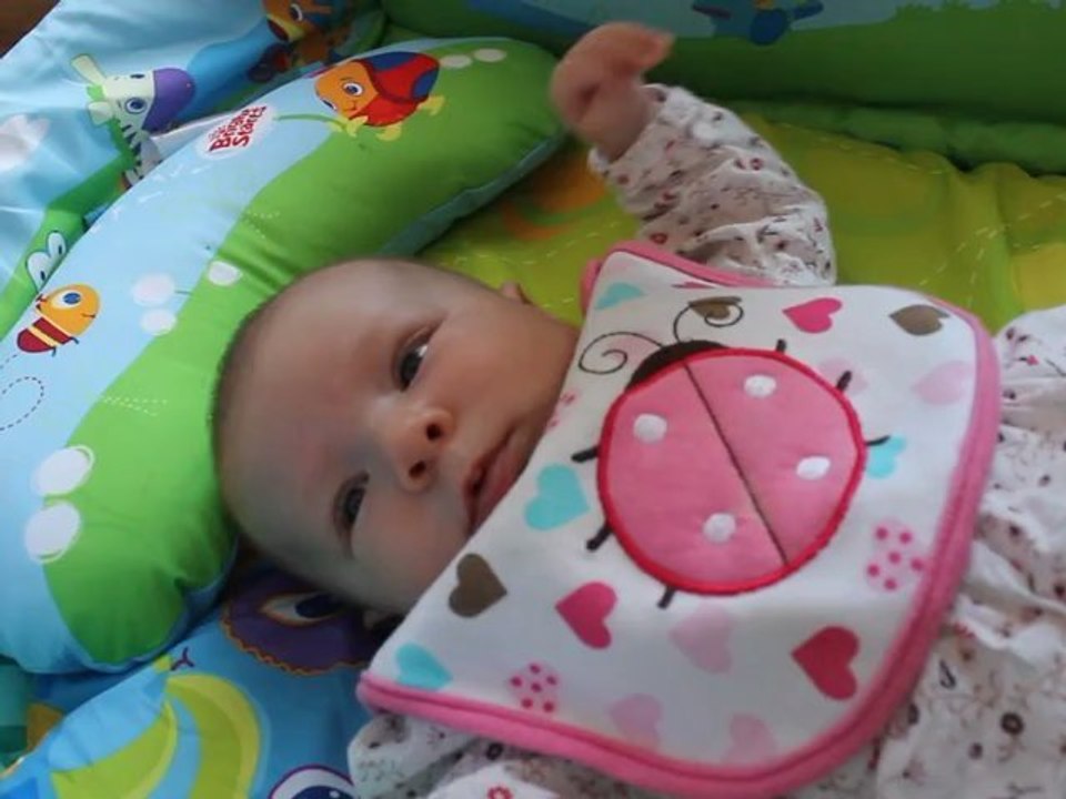 tapis1