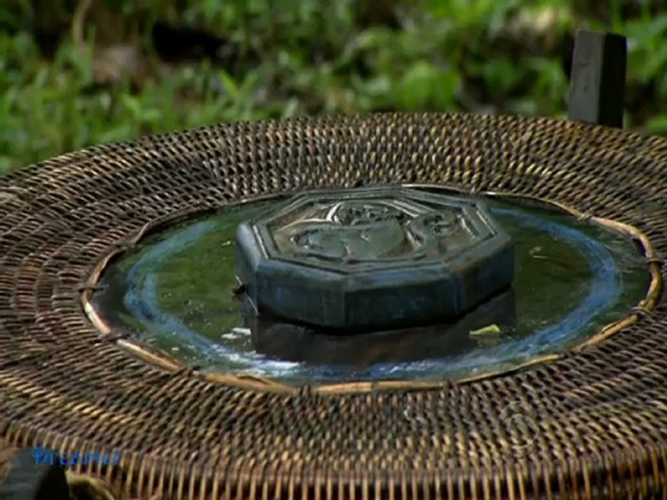 S25 ep 5